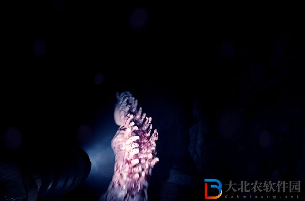 森林之子最多可以幾個人玩-森林之子最高聯機人數