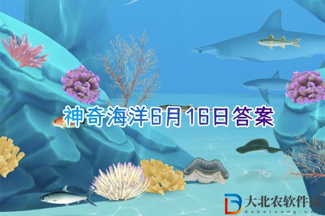 神奇海洋6月16日答案-紅樹林被稱為海岸衛士其為人類提供的主要生態服務不包括