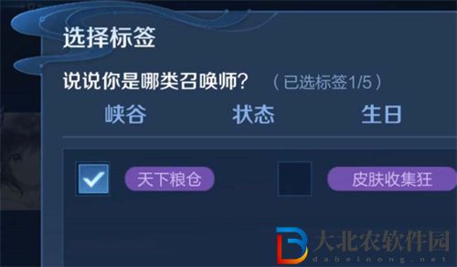王者榮耀天下糧倉標簽含義介紹