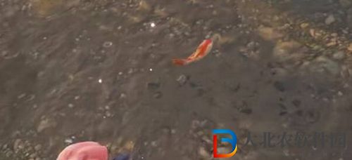 永劫無間錦鯉在哪-永劫無間錦鯉位置介紹