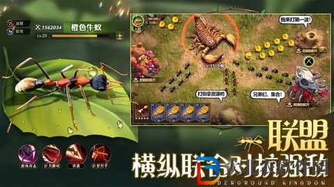 小小蟻國
