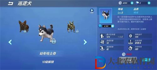 逃跑吧少年巡邏犬特點介紹