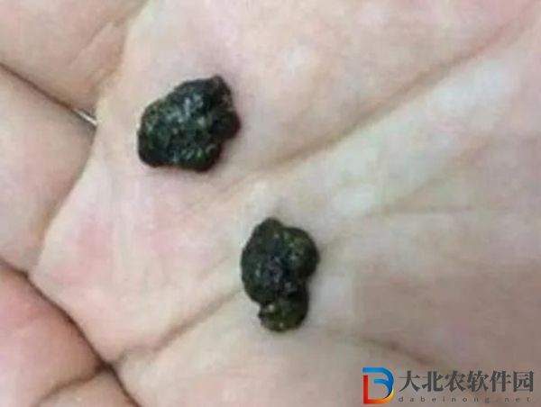 出門四不撿是什么意思-出門四不撿梗來(lái)源出處