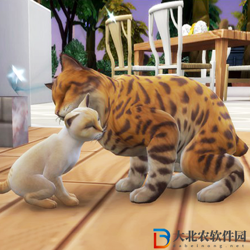 貓咪想戀愛
