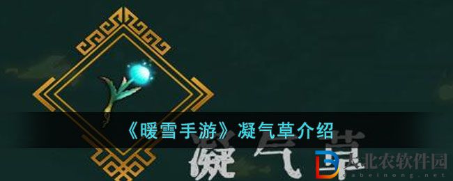 《暖雪手游》凝氣草介紹