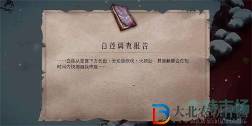 暖雪手游白蓮調查報告獲取方式一覽