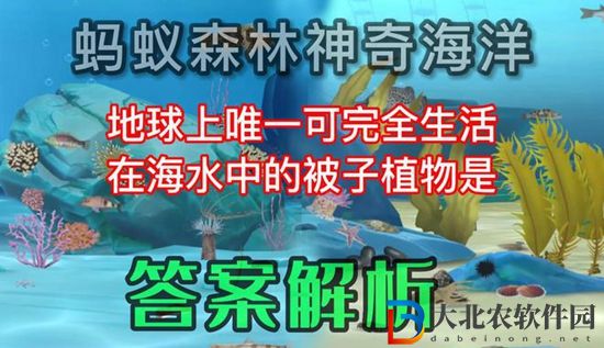 神奇海洋正確答案5.5-地球上唯一可完全生活在海水中的被子植物是?
