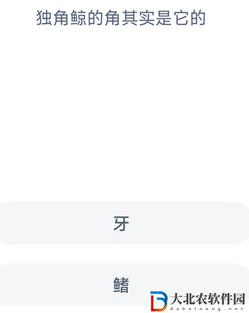 神奇海洋今日答案最新9.1-獨角鯨的角其實是它的