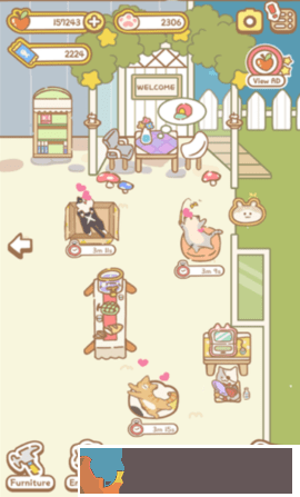 貓貓的店