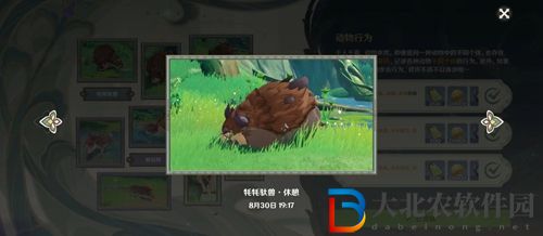 原神動(dòng)物行為有哪些-原神動(dòng)物行為一覽