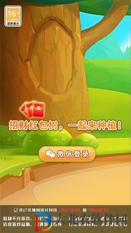 種下紅包樹