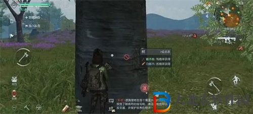 黎明覺醒白蠟木采集位置介紹