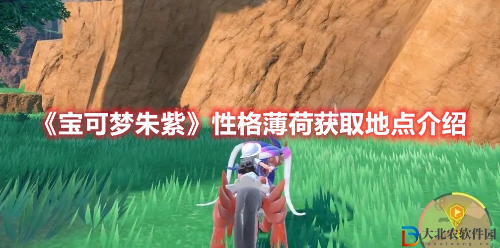 寶可夢朱紫性格薄荷獲取地點介紹 性格薄荷在哪里買