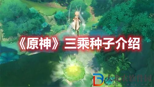 《原神》三乘種子介紹