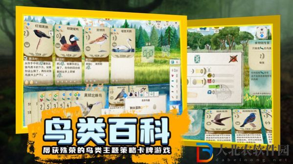 鳥類觀察家