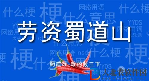 勞資蜀道山什么網絡語-勞資蜀道山梗來源出處