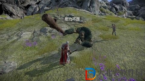 凡爾賽法環