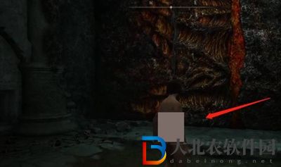 艾爾登法環癲火封印門怎么開-癲火封印門打開方法