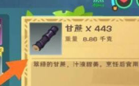 創(chuàng)造與魔法椰子汁制作方法