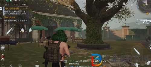 黎明覺醒生機金盞花庭院尋人啟事任務完成攻略