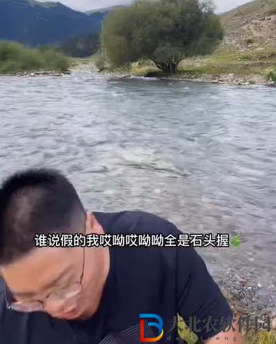 你這背景太假了是什么意思-你這背景太假了梗意思一覽