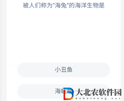 神奇海洋今日答案最新8.25-被人們稱為海兔的海洋生物是
