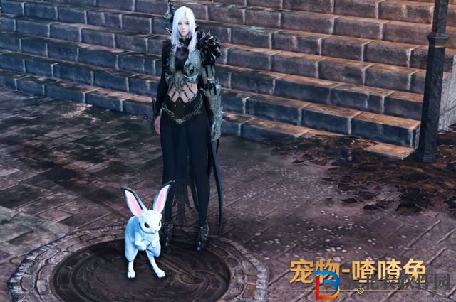黑色沙漠手游喳喳兔怎么獲得-黑色沙漠喳喳兔獲得方法