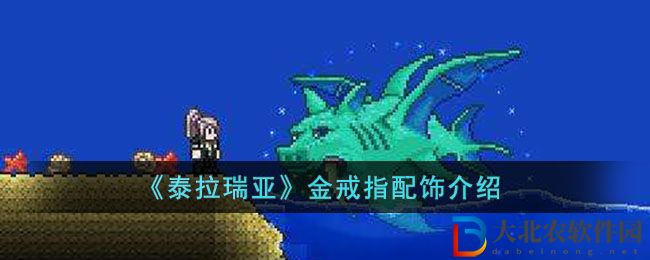 泰拉瑞亞金戒指配飾介紹 泰拉瑞亞金戒指怎么樣