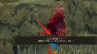 艾爾登法環潰爛血指怎么用不了-潰爛血指使用方法介紹