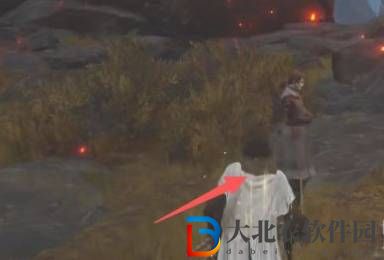 艾爾登法環癲火狀態怎么解除-癲火狀態解除方法