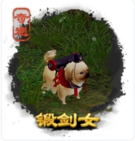 劍三奇遇大全-劍三奇遇觸發(fā)前置條件-劍網(wǎng)3所有奇遇攻略