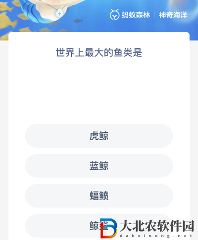 世界上最大的魚類是?神奇海洋6月14日答案