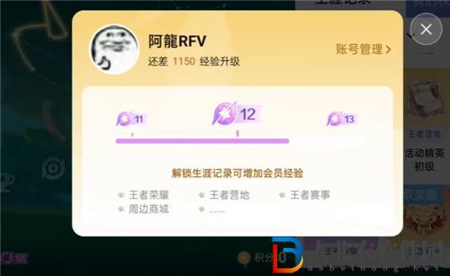王者榮耀星會員15級要充多少*
