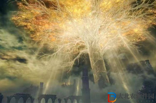 艾爾登法環癲火狀態怎么解除-癲火狀態解除方法
