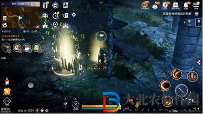 黑色沙漠手游熊貓怎么獲得-熊貓任務攻略