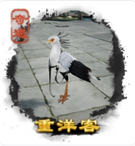 劍三奇遇大全-劍三奇遇觸發(fā)前置條件-劍網(wǎng)3所有奇遇攻略