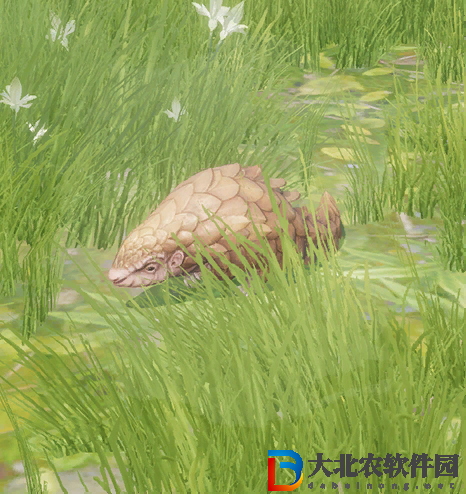 劍三瀛洲夢觸發條件-劍網3瀛洲夢奇遇攻略