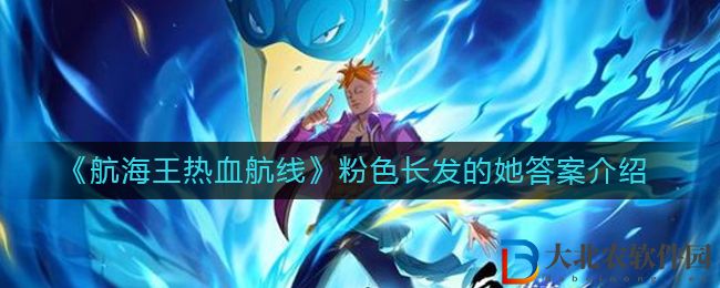 《航海王熱血航線》粉色長發的她答案介紹