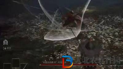 艾爾登法環水鳥亂舞怎么躲-水鳥亂舞躲避方法介紹