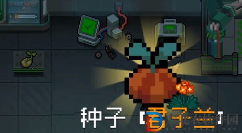 元?dú)怛T士君子蘭獲取攻略