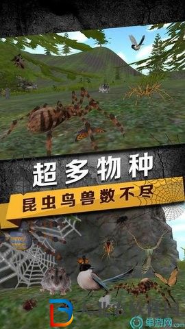 蜘蛛生存模擬器