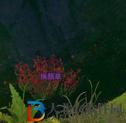 劍三滇南行觸發條件-劍網3滇南行奇遇攻略
