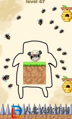 寵物狗營救