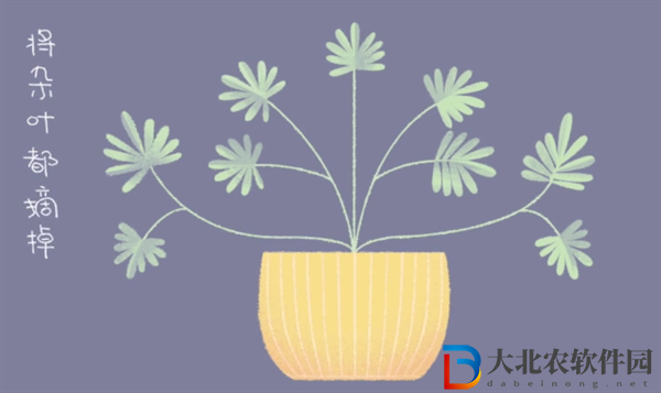 收納達人攻略大全-收納達人全關卡圖文攻略