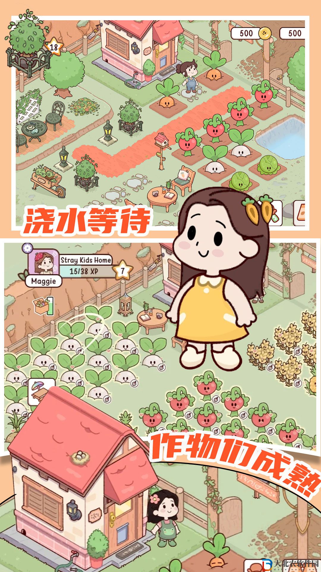 米加農場