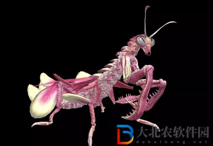妄想山海萬(wàn)年嘉冉遺魚(yú)在哪-妄想山海萬(wàn)年嘉冉遺魚(yú)位置介紹