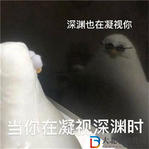 馬兆海鷗是什么意思-馬兆海鷗梗來源出處介紹