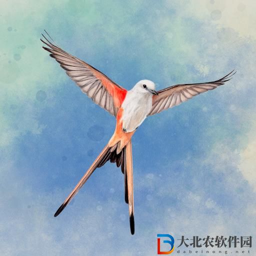 鳥類觀察家