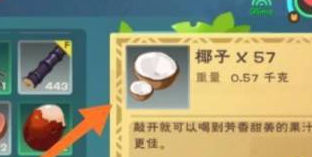 創(chuàng)造與魔法椰子汁制作方法