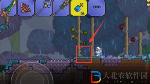泰拉瑞亞神圣的種子種植攻略介紹